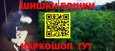 прущие грибы Гатчина