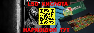 прущие грибы Гатчина