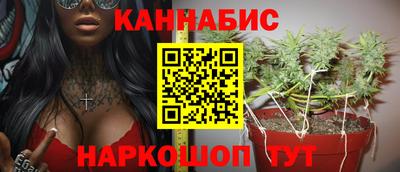 прущие грибы Гатчина