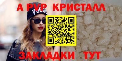 прущие грибы Гатчина