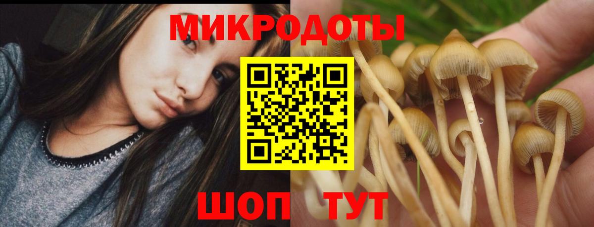 Галлюциногенные грибы мухоморы Тавда